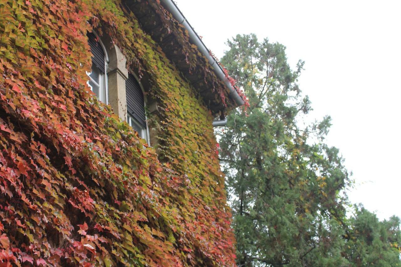 Apartment Mallinova Záhřeb Exteriér fotografie